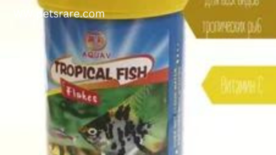 Rare Fish Flake Formulations: A Deep Dive Into Nutrition